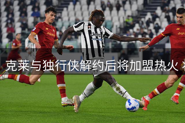 克莱与独行侠解约后将加盟热火 将携手维金斯再续前缘